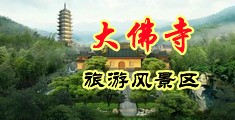 在线观看骚女wwww中国浙江-新昌大佛寺旅游风景区